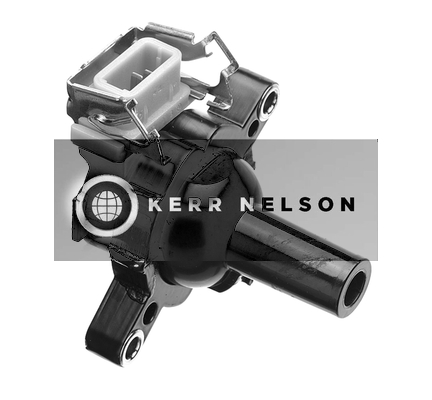 Kerr Nelson IIS456
