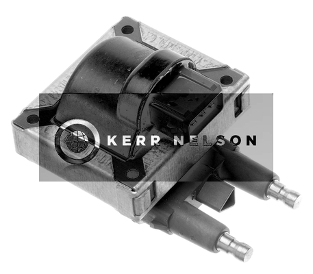 Kerr Nelson IIS465