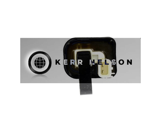 Kerr Nelson IIS471