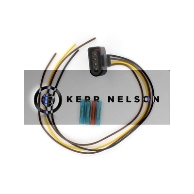 Kerr Nelson IIS476