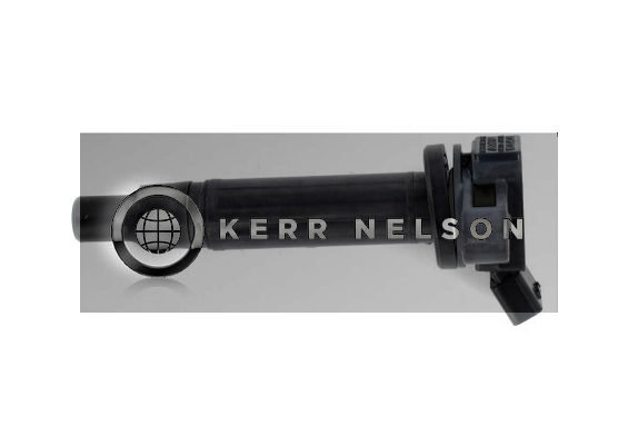 Kerr Nelson IIS483