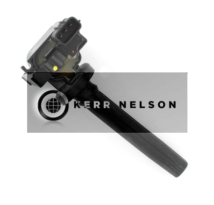 Kerr Nelson IIS493