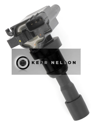 Kerr Nelson IIS494