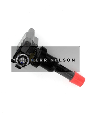 Kerr Nelson IIS495