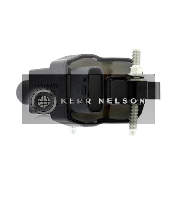 Kerr Nelson IIS496