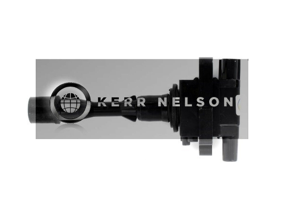 Kerr Nelson IIS498