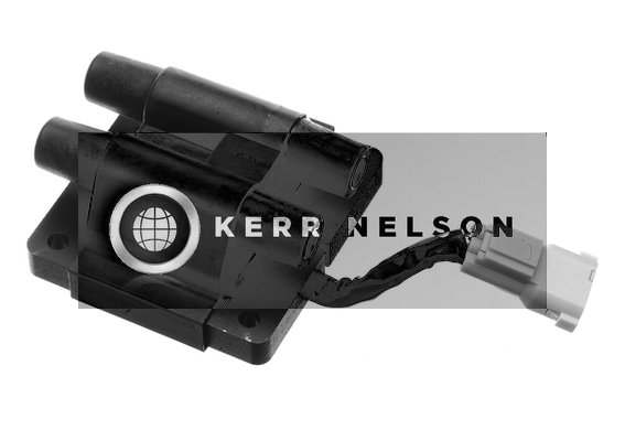 Kerr Nelson IIS501