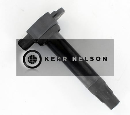 Kerr Nelson IIS503