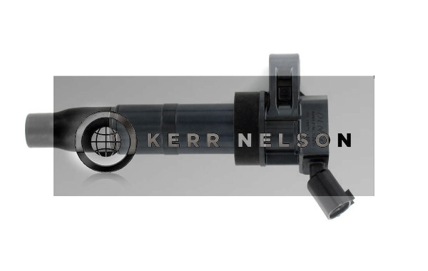 Kerr Nelson IIS511