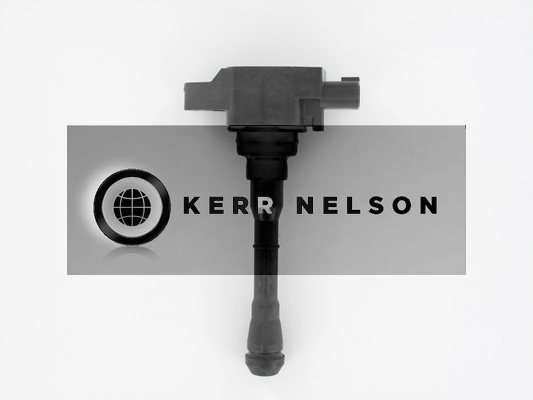 Kerr Nelson IIS513