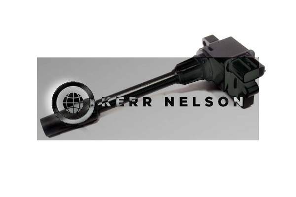 Kerr Nelson IIS516