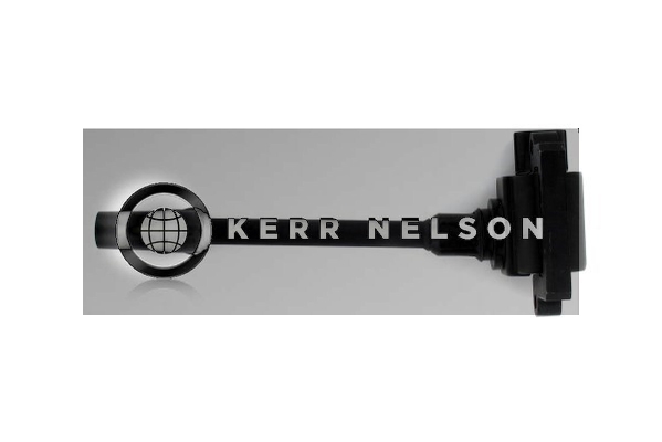 Kerr Nelson IIS517