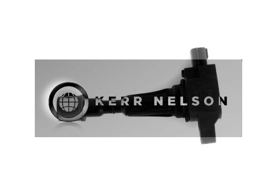 Kerr Nelson IIS518