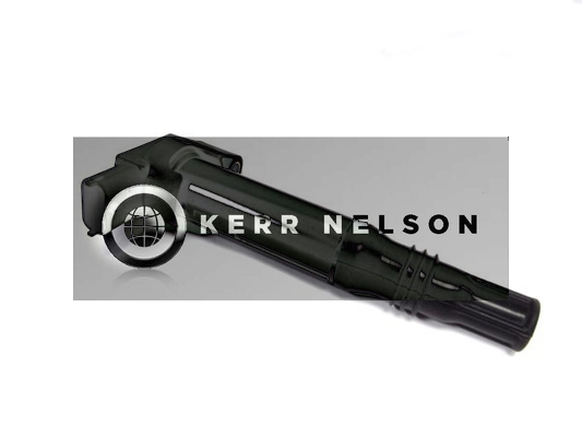 Kerr Nelson IIS524