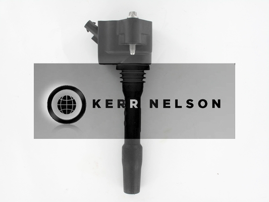 Kerr Nelson IIS528