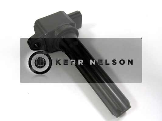 Kerr Nelson IIS531