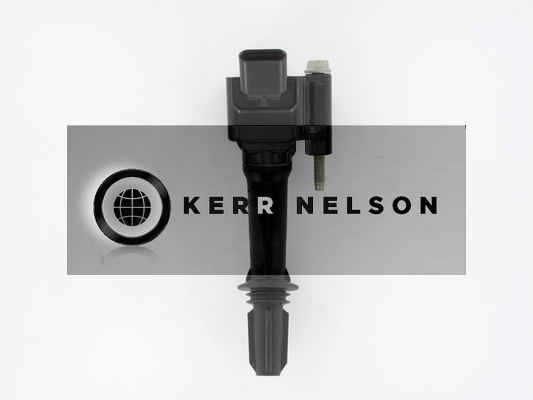 Kerr Nelson IIS534