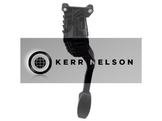 Kerr Nelson KAPS004