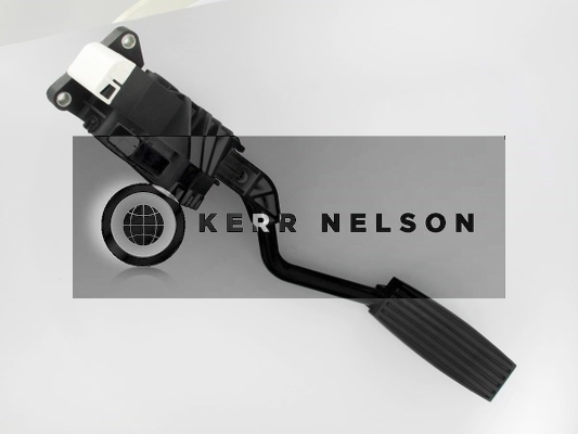 Kerr Nelson KAPS006