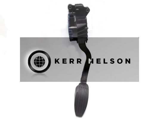 Kerr Nelson KAPS009