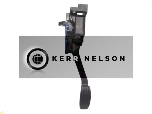 Kerr Nelson KAPS010