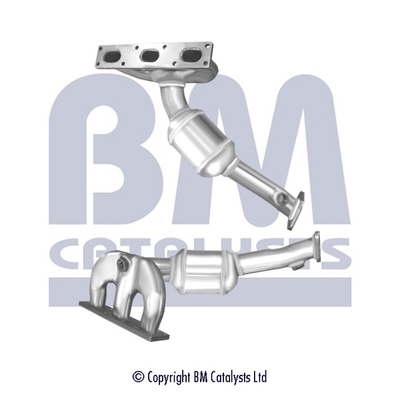 BM Catalysts BM92196HK