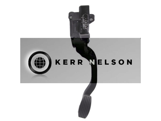 Kerr Nelson KAPS012