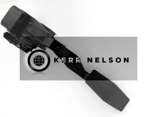 Kerr Nelson KAPS017