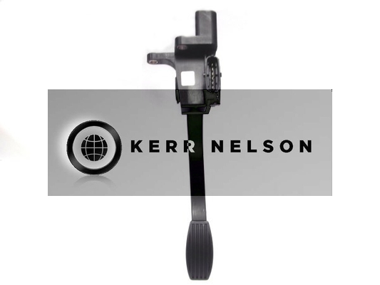 Kerr Nelson KAPS021