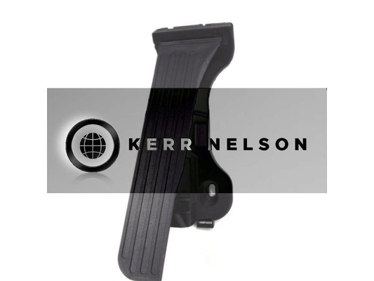 Kerr Nelson KAPS024