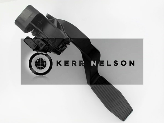 Kerr Nelson KAPS026