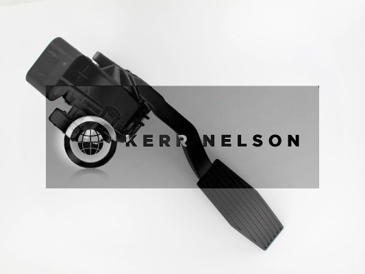 Kerr Nelson KAPS027