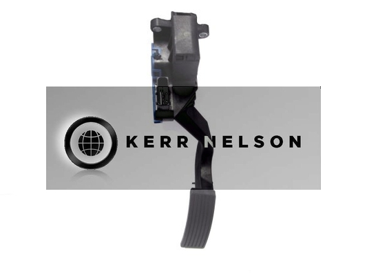 Kerr Nelson KAPS028