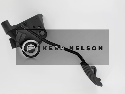 Kerr Nelson KAPS029