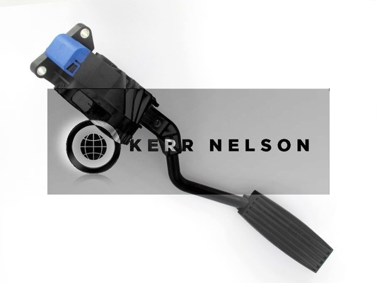 Kerr Nelson KAPS031