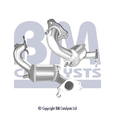 BM Catalysts BM91974H