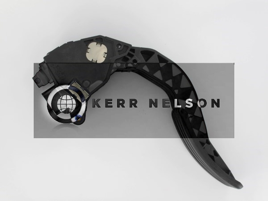 Kerr Nelson KAPS033