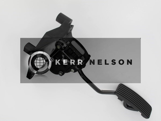 Kerr Nelson KAPS034