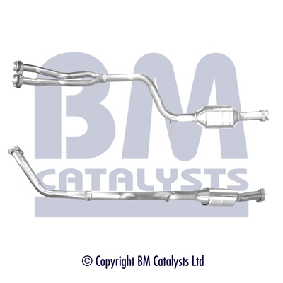 BM Catalysts BM91776K