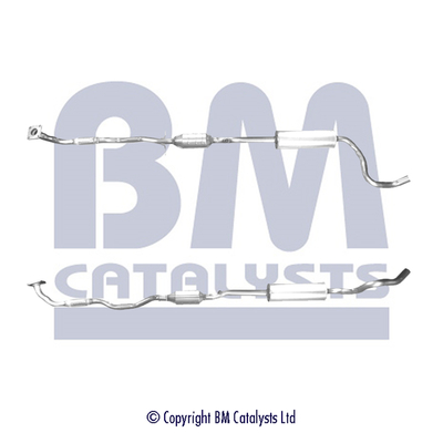 BM Catalysts BM91479K