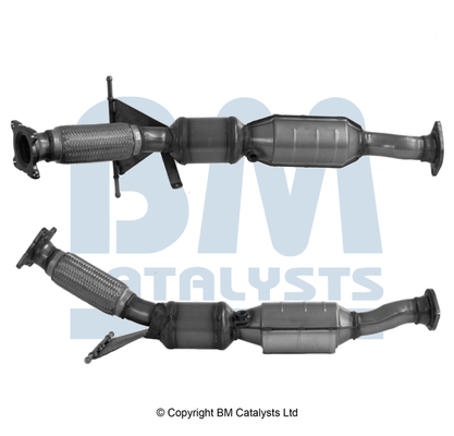 BM Catalysts BM91399