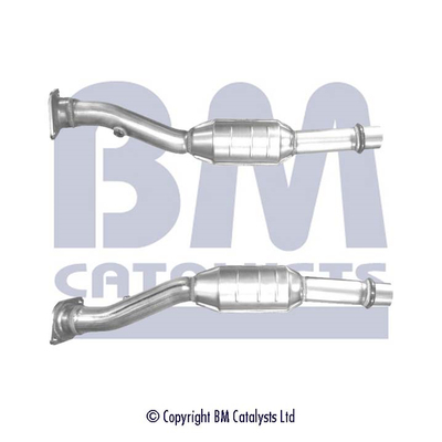 BM Catalysts BM91381