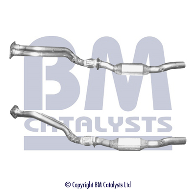 BM Catalysts BM91206