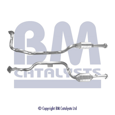 BM Catalysts BM91174