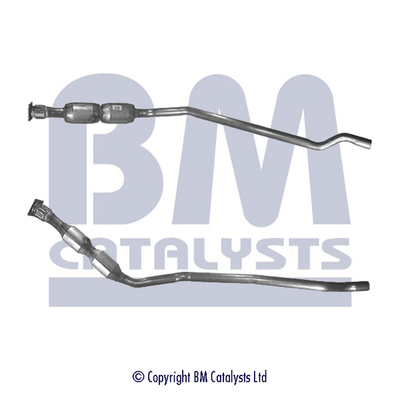 BM Catalysts BM91166