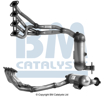 BM Catalysts BM91097