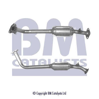 BM Catalysts BM91025