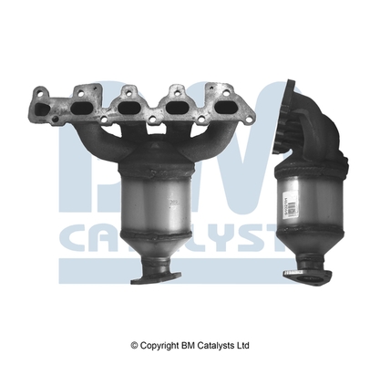 BM Catalysts BM91021