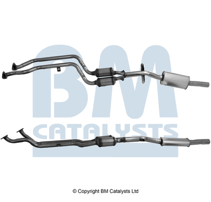 BM Catalysts BM90829