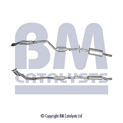 BM Catalysts BM90817H